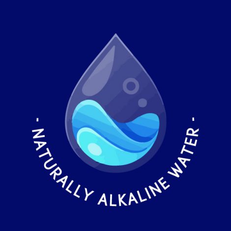 Naturally Alkaline Water 500ml  ( 12 Bottles ) - Image 2