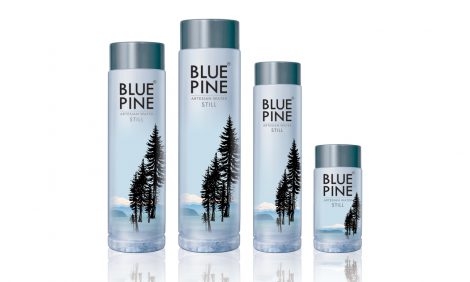 BLUE PINE ARTESIAN WATER STILL grey cap- IN GLASS 300ml ( 24 bottles ) - Image 2