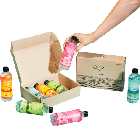 Zenzi Assorted Box - Pack of 24